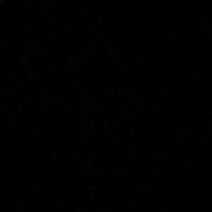 Meet your Posher, Malia